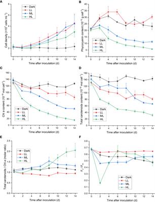 Ascorbate peroxidase plays an important role in photoacclimation in the extremophilic red alga Cyanidiococcus yangmingshanensis